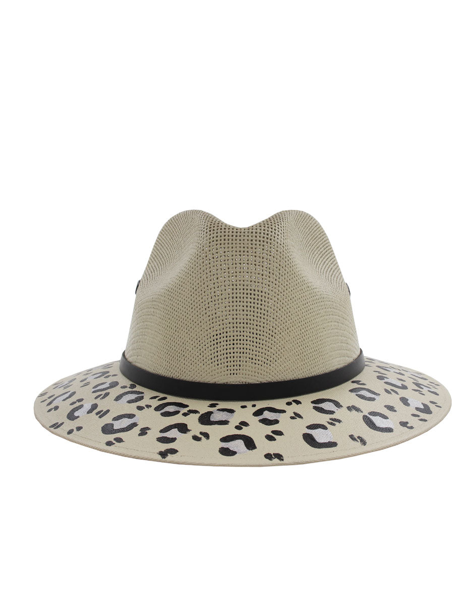 Sombrero - Canvas - Felino