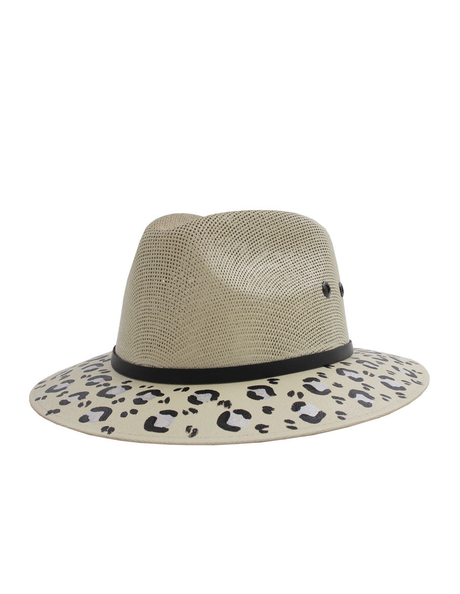 Sombrero - Canvas - Felino